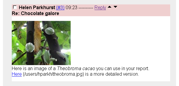 [Post with picture theobroma ]